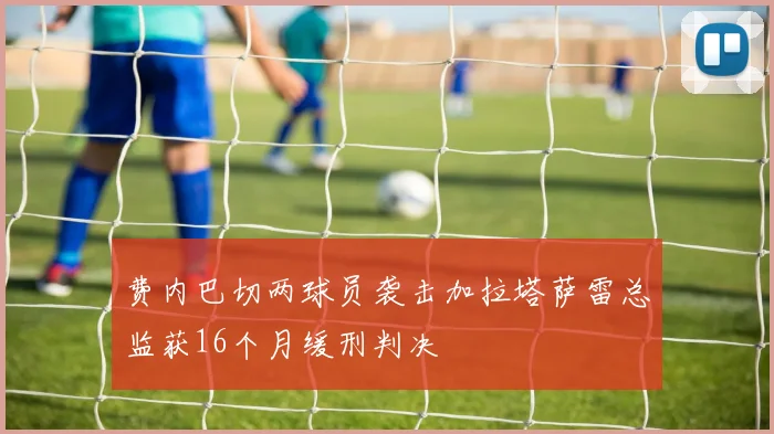 费内巴切两球员袭击加拉塔萨雷总监获16个月缓刑判决