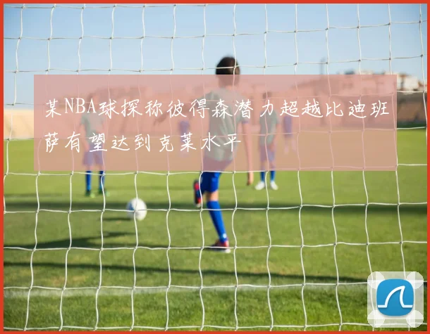 某NBA球探称彼得森潜力超越比迪班萨有望达到克莱水平