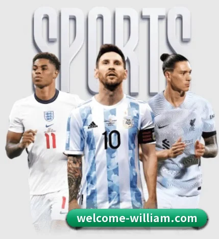 五大服务分区,信息按项目分类(williamhill)